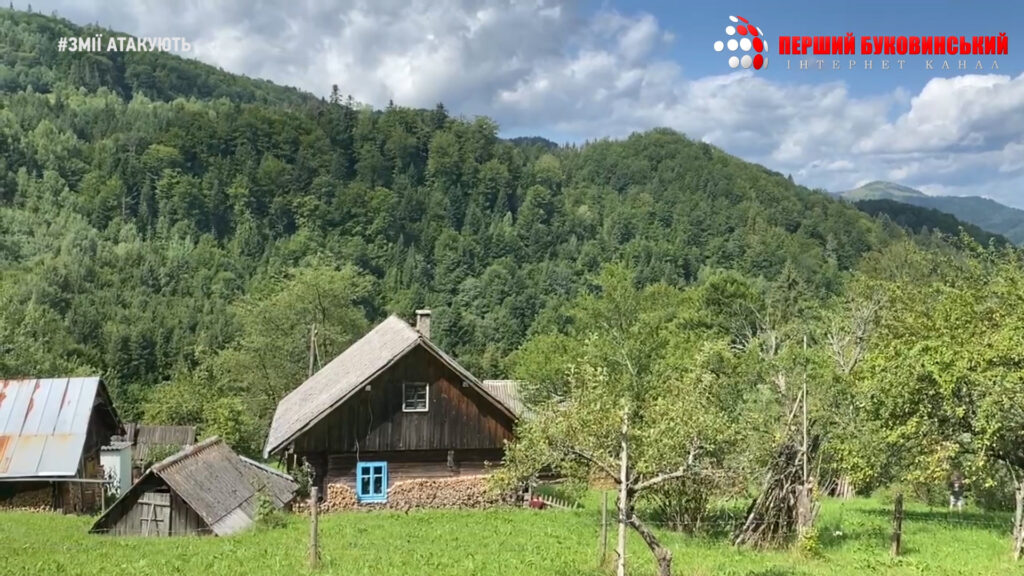 На Буковині майже у всіх лікарнях закінчилися сироватки проти зміїної отрути