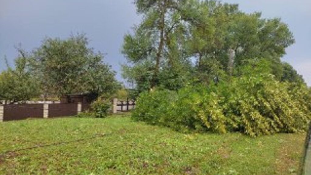 Сильна гроза наробила біди на Буковині