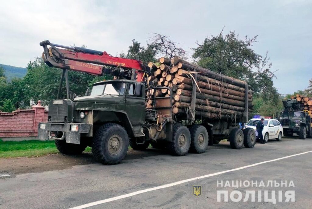 Як на Буковині нищать хвойні ліси? Подробиці від правоохоронців