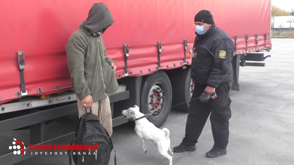 У «Порубному» під причепом вантажівки прикордонний пес знайшов громадянина Афганістану