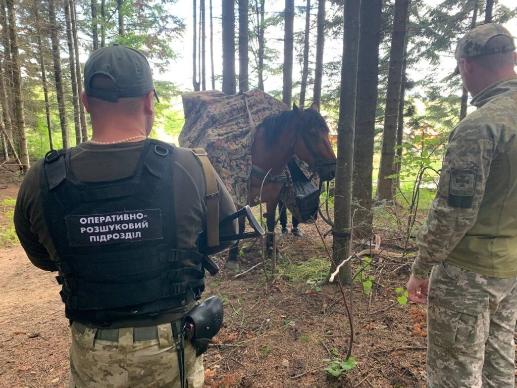 На Буковині прикордонники зірвали оборудку пачкарів, які конем намагалися доправити тютюнові вироби до Румунії