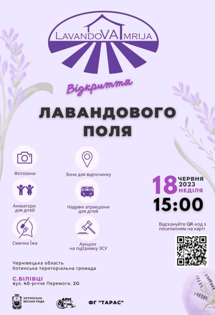 Лавандове поле площею 10 гектарів відкриють у Хотинській міській громаді